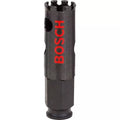 Bosch  2608580302