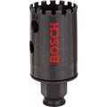 Bosch  2608580307